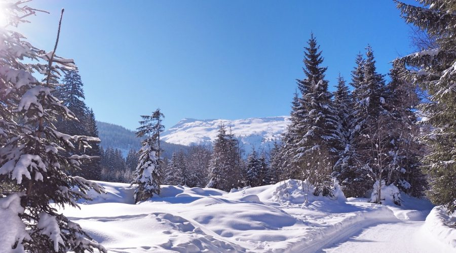 Winterwandern Angertal, Foto: Kristina Erhard