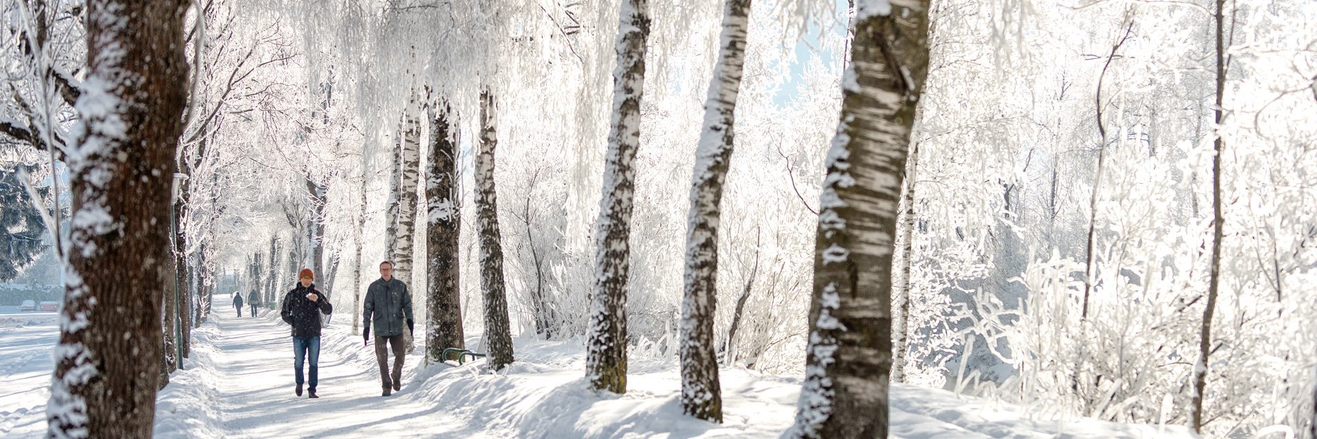 Winterpanorama Gastein