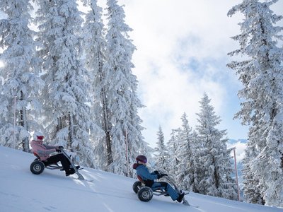 Early Winter Mountaincart