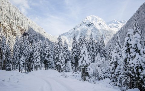 Winterwanderung.jpg