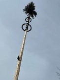 Maibaum-Dorfgastein.jpg