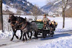 Pferdeschlitten-Dorfgastein-Torbauer.jpg