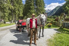 Pferdekutsche-Sommer-Koetschachtal-Bad-Gastein-c.jpg