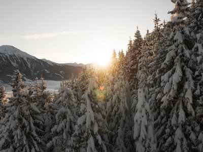 Impressionen Winterwald